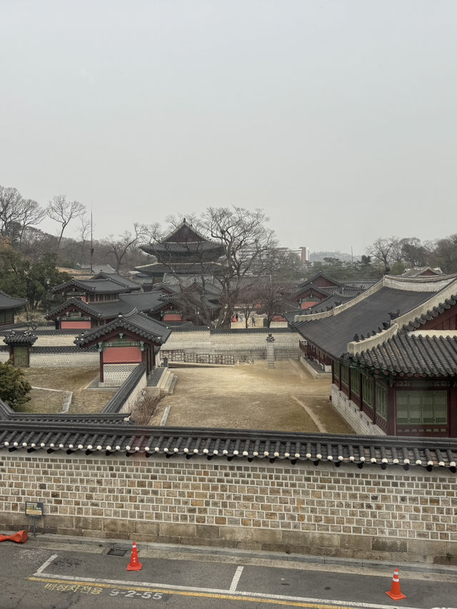 창덕궁이 보이는 회화나무카페