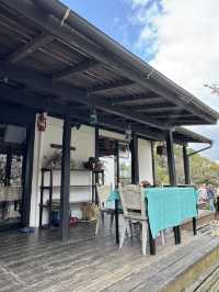 【福岡グルメ】窓からの季節ごとの景色を楽しみながらランチが食べられるお店🍽