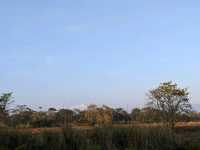 【ネパール🇳🇵】チトワン国立公園でジープサファリ