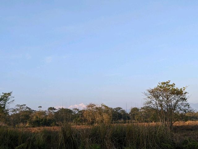 【ネパール🇳🇵】チトワン国立公園でジープサファリ
