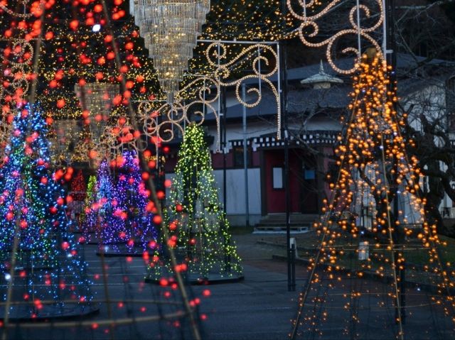 【御殿場高原 時之栖】冬の夜を彩るイルミネーション！