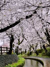 Shukugawa Park