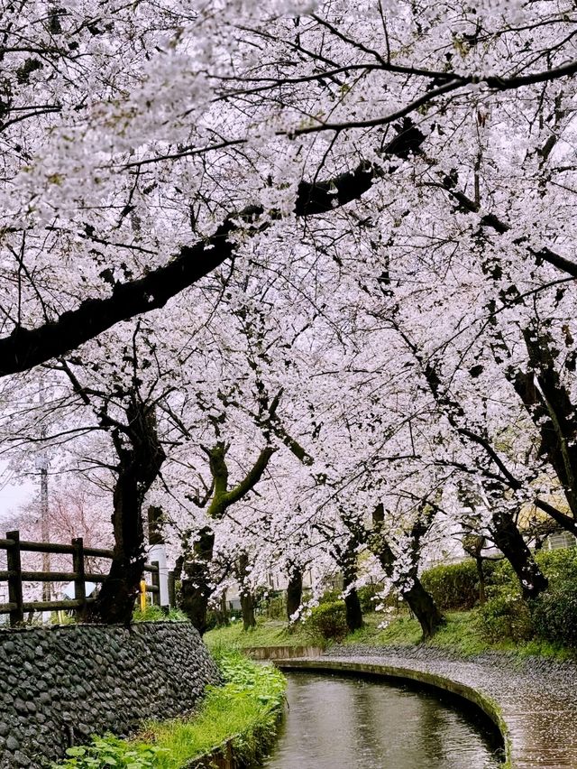 Shukugawa Park