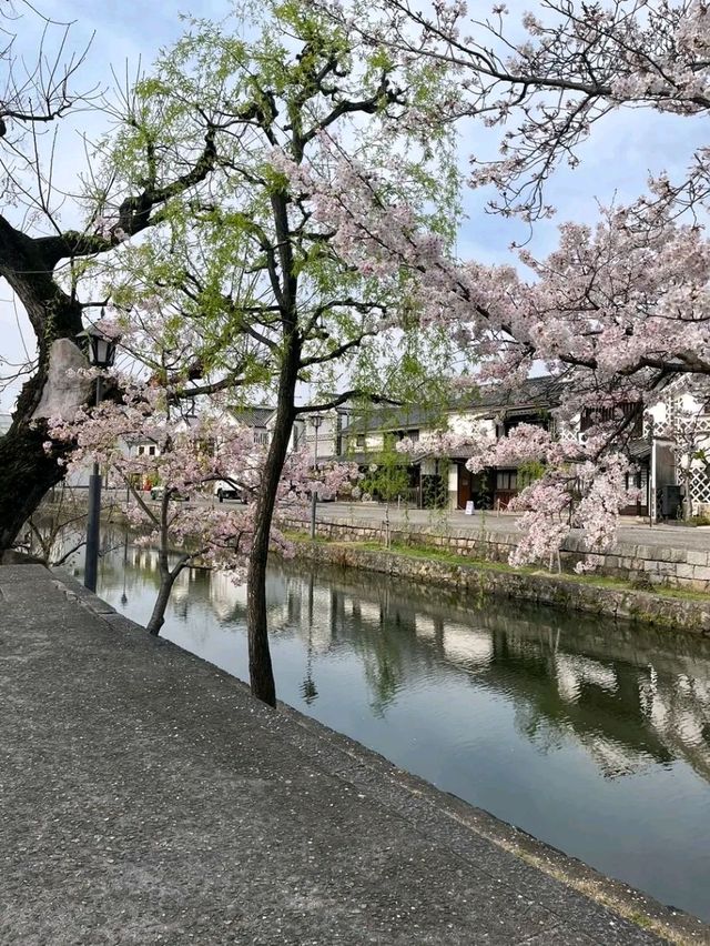 Kurashiki – A Timeless Canvas of Canals and Culture