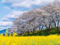 Springtime Chill with a Historic Twist