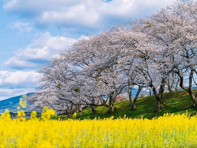 Springtime Chill with a Historic Twist