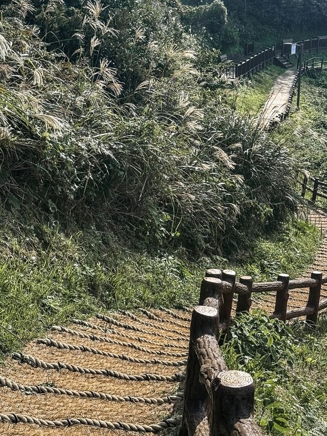 올레 18코스 사라봉