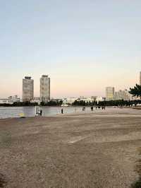 New York? It's Odaiba!