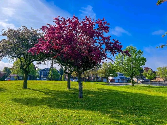 Mississauga – A Vibrant City by the Lake