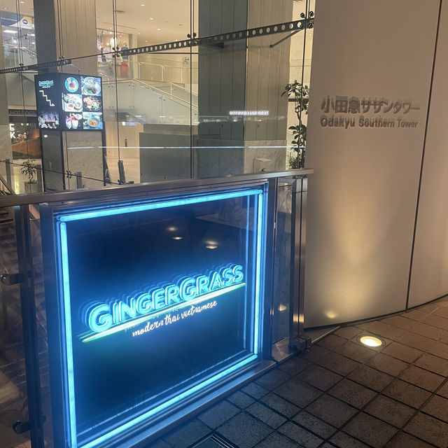 【東京/新宿🇯🇵】夜の散歩にピッタリ🚶‍♀️新宿サザンテラス