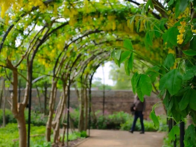 Kew Royal Botanic Gardens – A Golden Autumn Escape in London