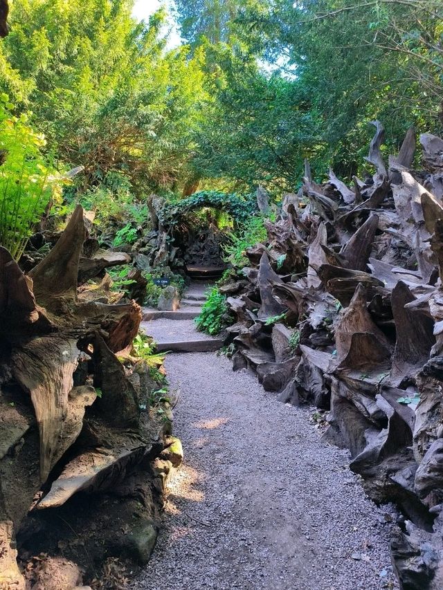 Stepping into a Victorian Wonderland: Biddulph Grange Garden