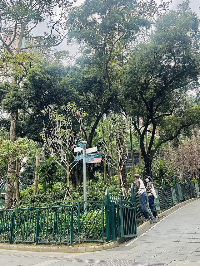 예쁜 풍경이 있는 홍콩의 동식물원 💛