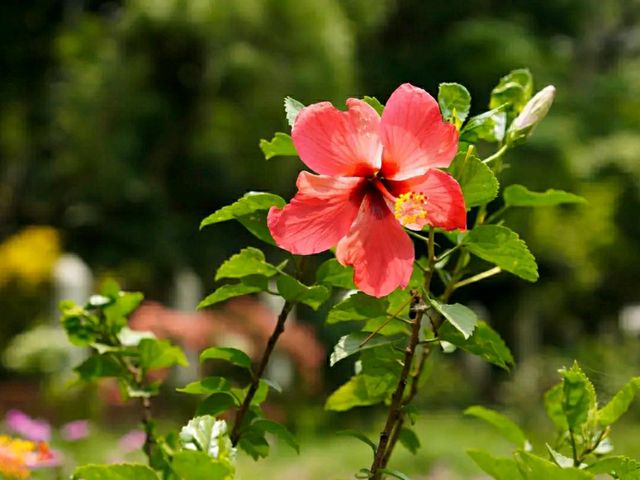 National Botanical Garden – Dhaka’s Living Green Museum