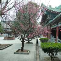Hidden Song Dynasty Gems in Kaifeng