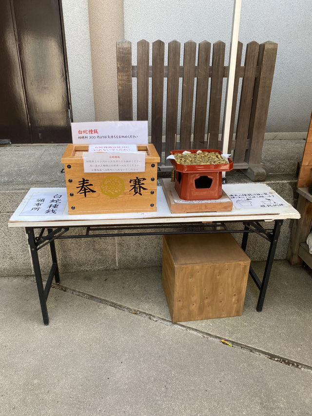 【東京都品川🇯🇵 蛇窪神社】東京の白蛇さまへ☺️