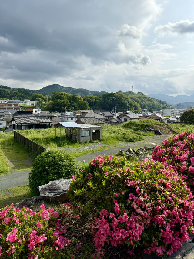 Exploring Ōzu – A Castle View & a Shrine Escape