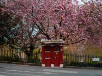 Edinburgh’s Spring Gardens and Castles