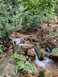Discover 🔥 2D1N Kluang Getaway Itenarary 