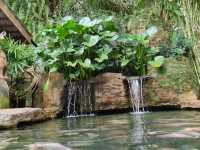 🌾 Kampar, Perak – Refarm Half-Day Trip