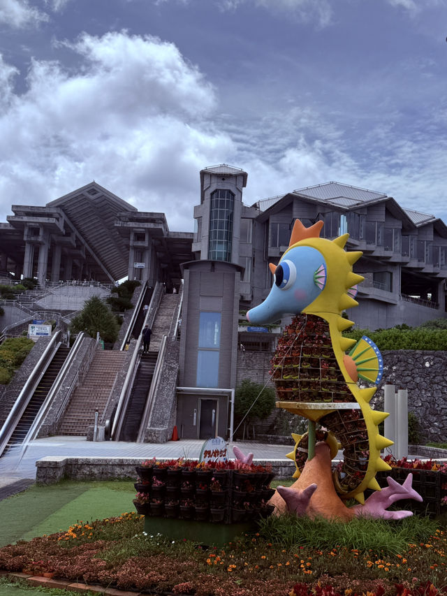 沖繩｜再遠都值得跑一趟 美麗海水族館的黑潮之美