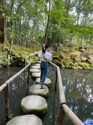 교토에 오면 꼭 가봐야 할 곳! 풍부한 자연과 문화재를 감상할 수 있는 역사 깊은 아름다운 명소