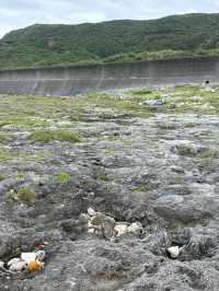 【久米島】熱帯魚の家で出会った美しさと現実｜海の環境を考えるきっかけに🐠