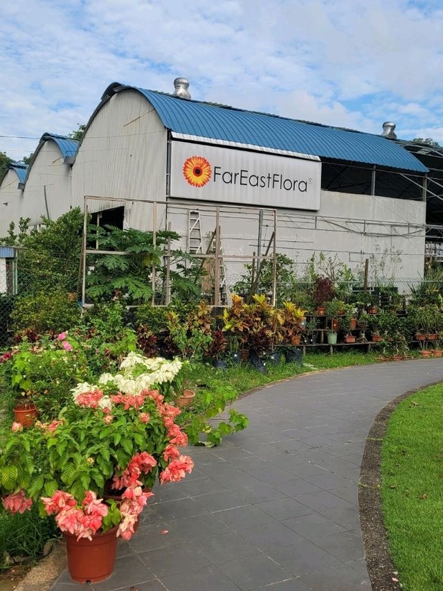 Visit Far East Flora to satiate your Spring fever!