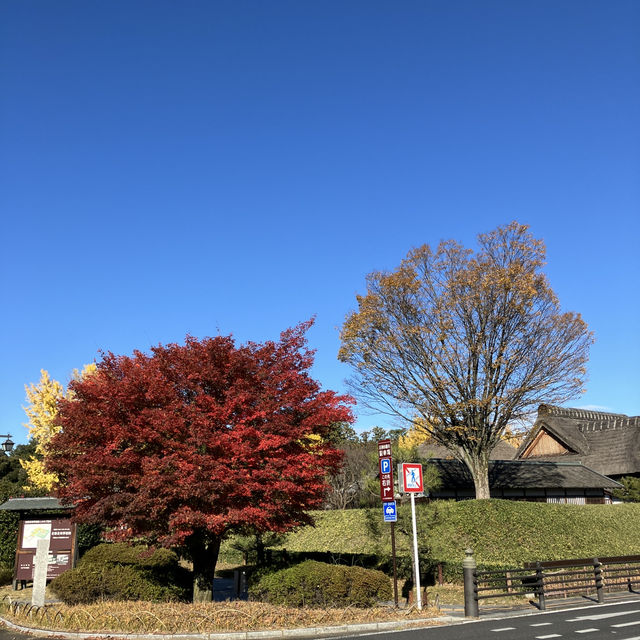 日本遺産にもなった！