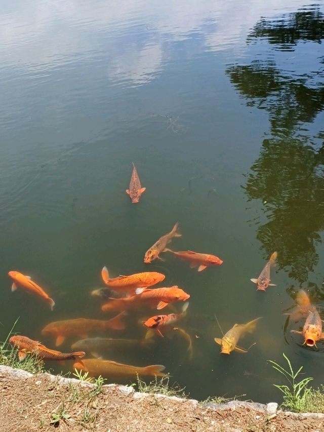 경주 당일여행 코스 추천!