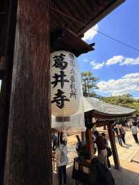 大阪｜到葛井寺看紫藤白藤 1300年11面千手觀音神像近距離參拜