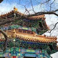 Life Advice: Know This Before Visiting Yonghe Temple 🙏