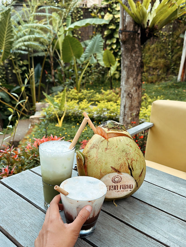 Alas Harum: Steps, Sips & Jungle Vibes