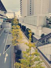 東京購物攻略｜隱世必訪店鋪精選