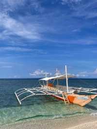 🇵🇭 Cebu to Moalboal: Sardine Storms & Turquoise Escapes