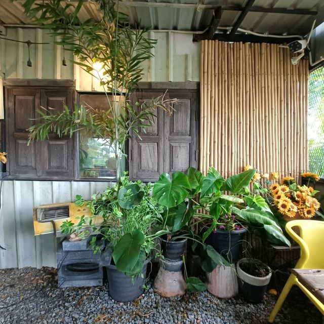 AB about coffee and garden at Lopburi 