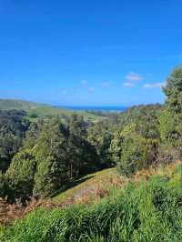 Great Otway National Park – VIC