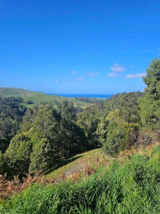 Great Otway National Park – VIC