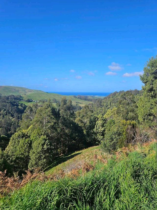 Great Otway National Park – VIC