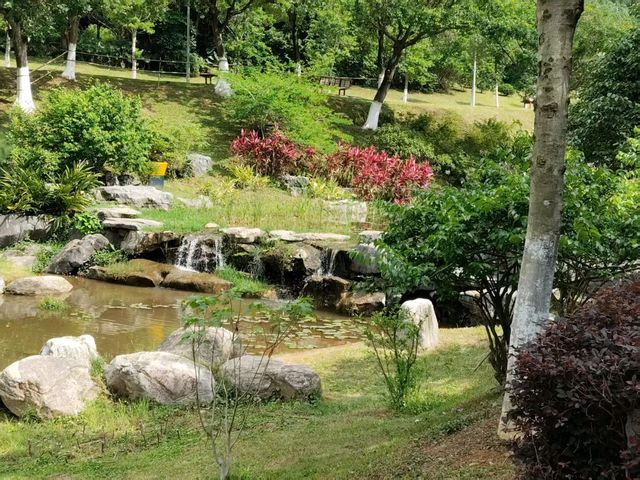 🪴Citywalk 東莞植物園