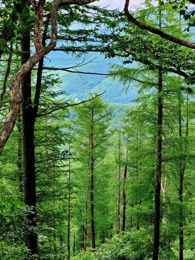 Nature’s Hidden Chill Spot