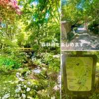 【佐賀】環境芸術の森　新緑一般公開！！森林浴でリフレッシュ💚