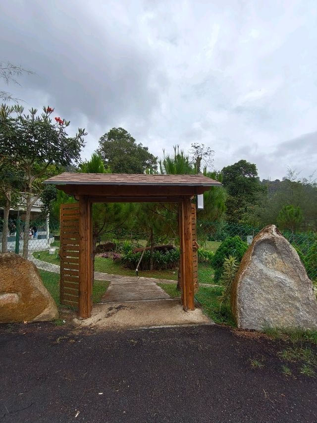 Quiet Corners & Open Spaces—Seremban Surprise