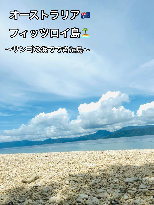 🏝️フィッツロイ島✨ サンゴでできた真っ白な浜辺