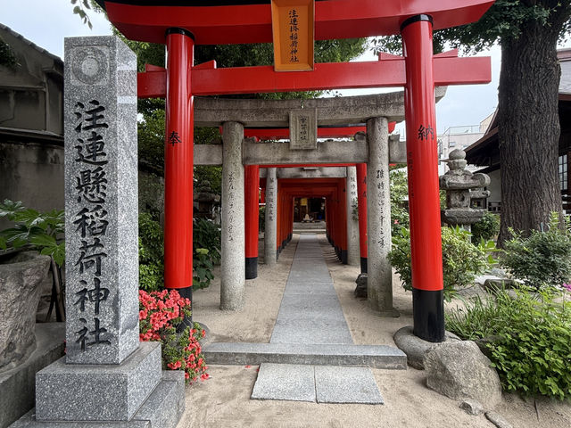 Kushida Shrine (ศาลเจ้าคุชิดะ) ในวันเงียบๆ