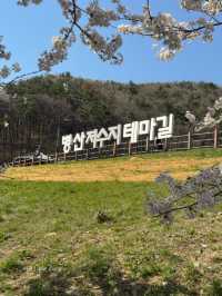 지금 가도 좋은, 기장 산책로 데이트 🚶🏻‍♀️🚶