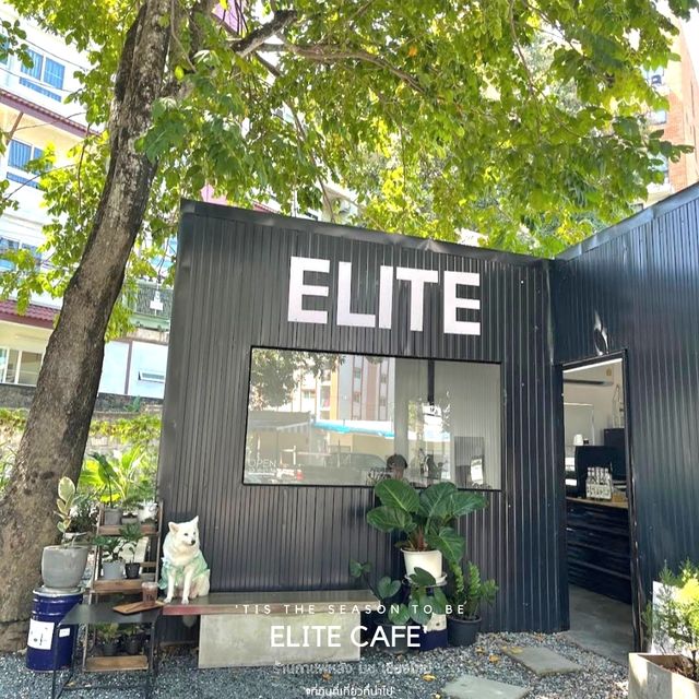 ร้านกาแฟในตู้คอนเทเนอร์ - Elite cafe’ หลัง มช.
