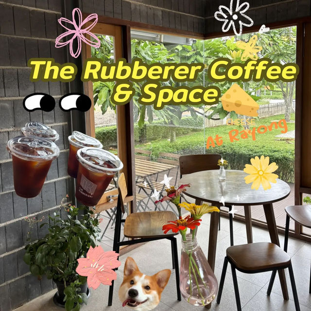 🍋The Rubberer Coffee & Space✨