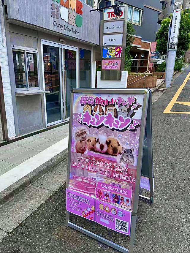 โอซาก้า🇯🇵