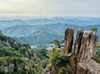 大芚山不負眾望